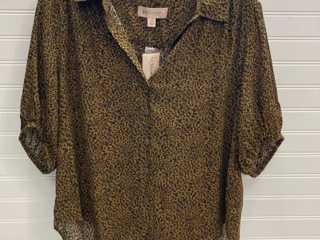 Multi-colored Blouse Short Sleeve Philosophy, Size L Online