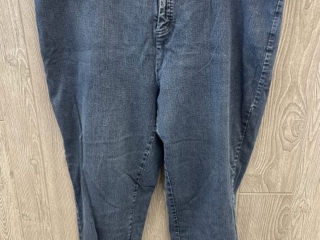 Jeans Straight By Terra & Sky In Blue Denim, Size: 20 Sale