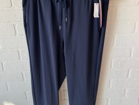 Athletic Pants By Talbots In Blue, Size: 8p Fashion