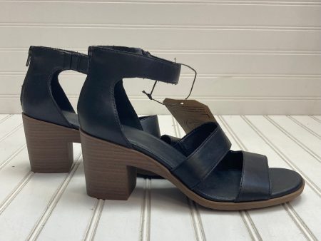 Black & Brown Sandals Heels Block Frye And Co, Size 9.5 For Discount