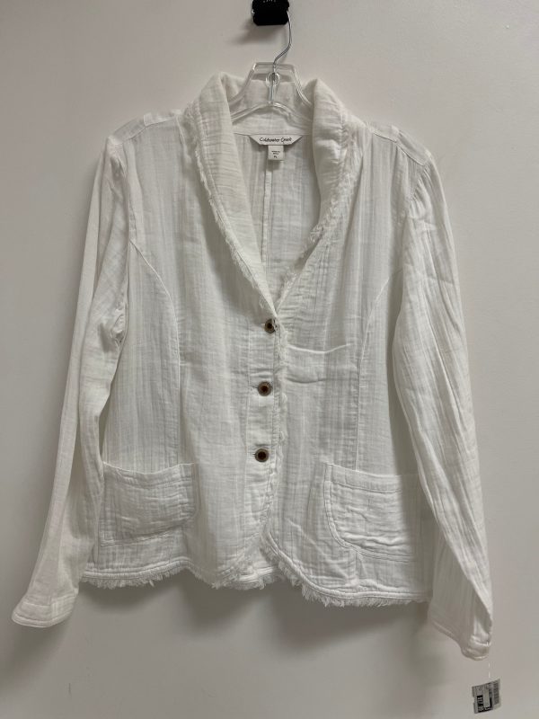 Blazer By Coldwater Creek In White, Size: Lp For Cheap